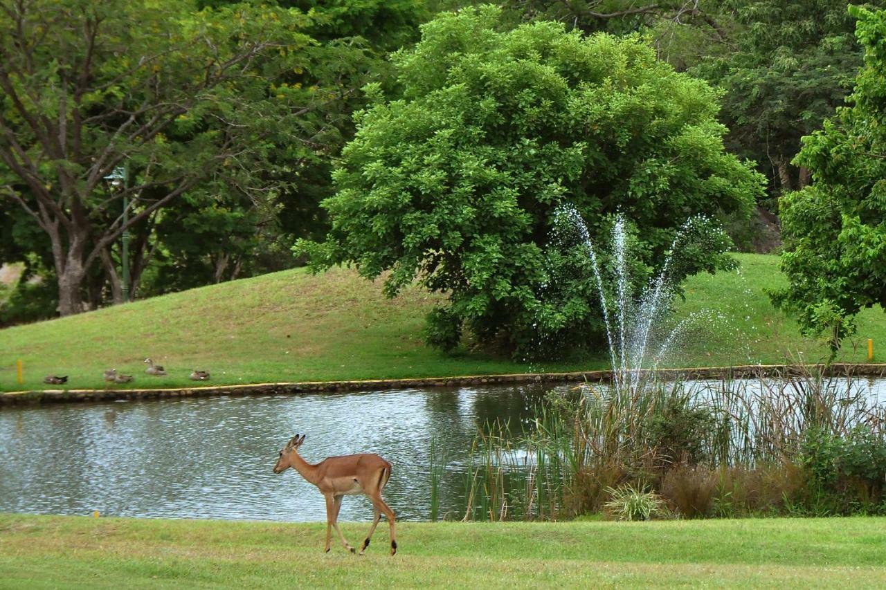 Kruger Park Lodge Unit No. 612 Hazyview Dış mekan fotoğraf